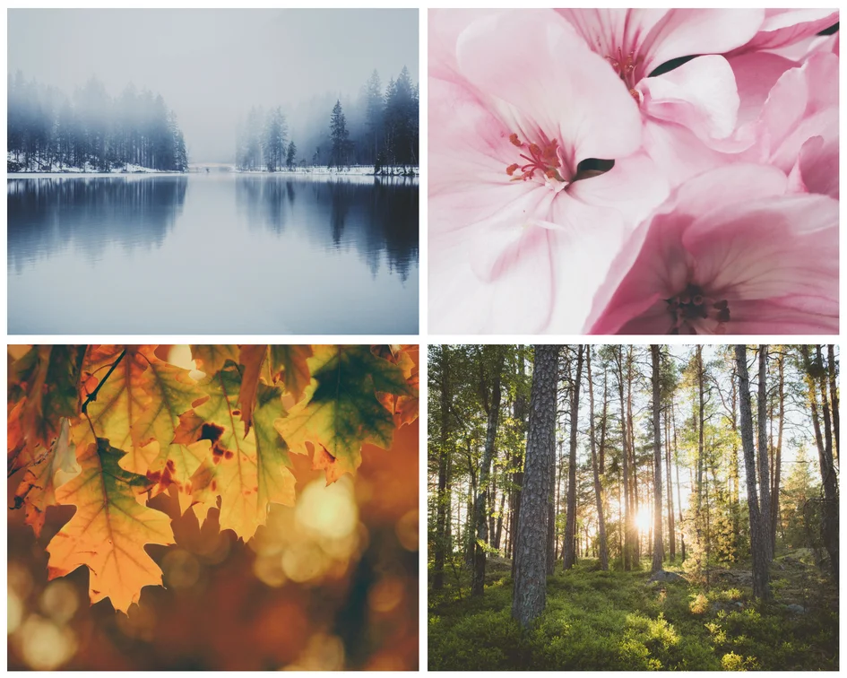 Seasons.jpg