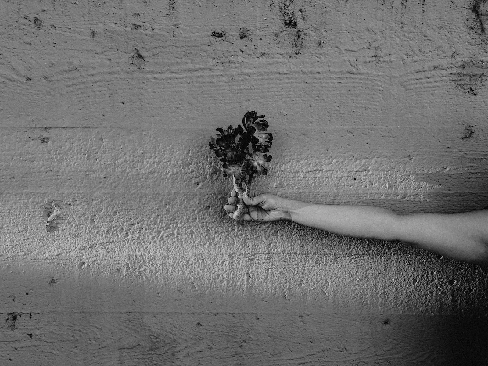 Photo-Oct-10-7-39-40-AM-2.jpg