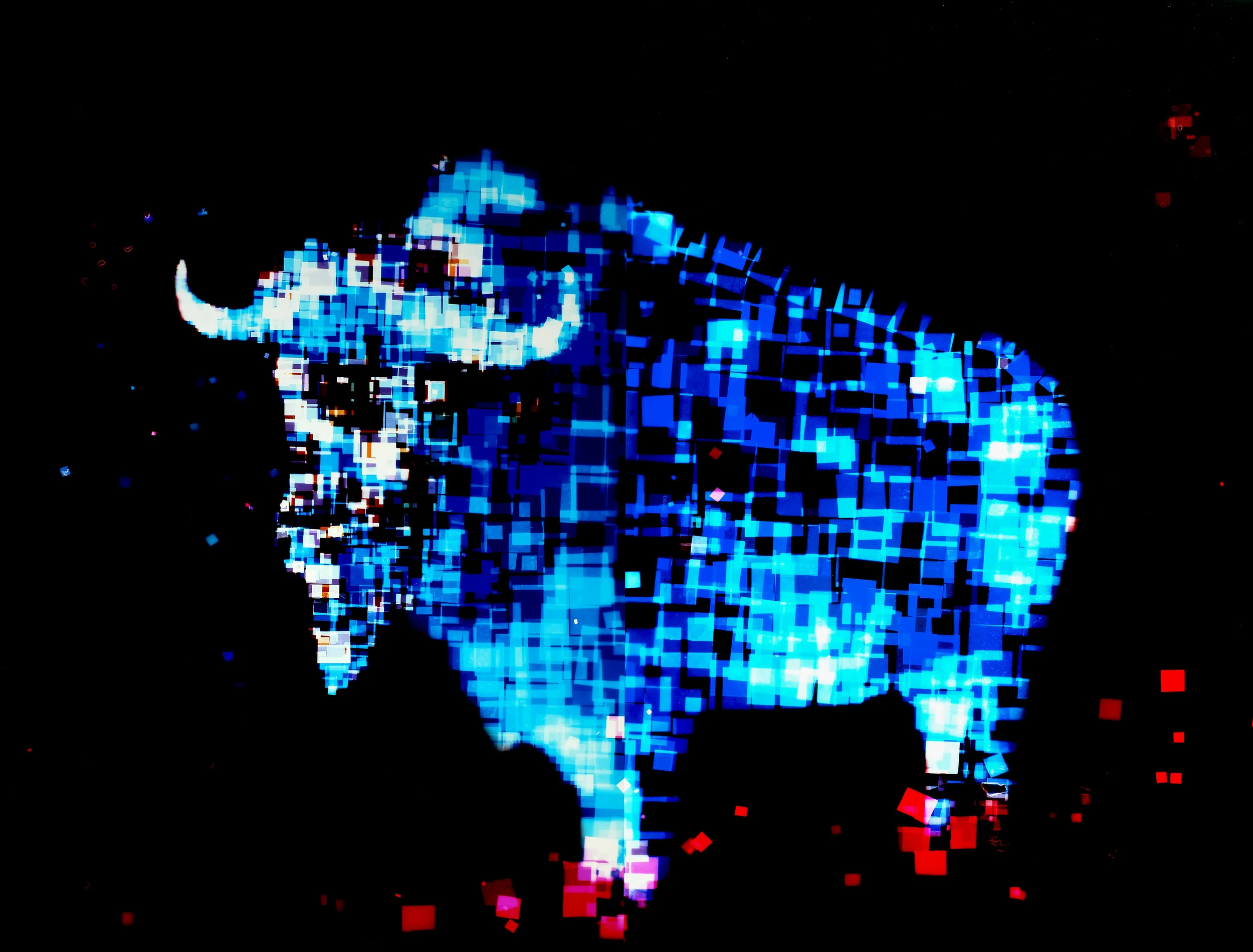 Buffalo.jpg