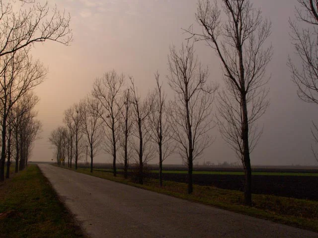 Northern Serbia