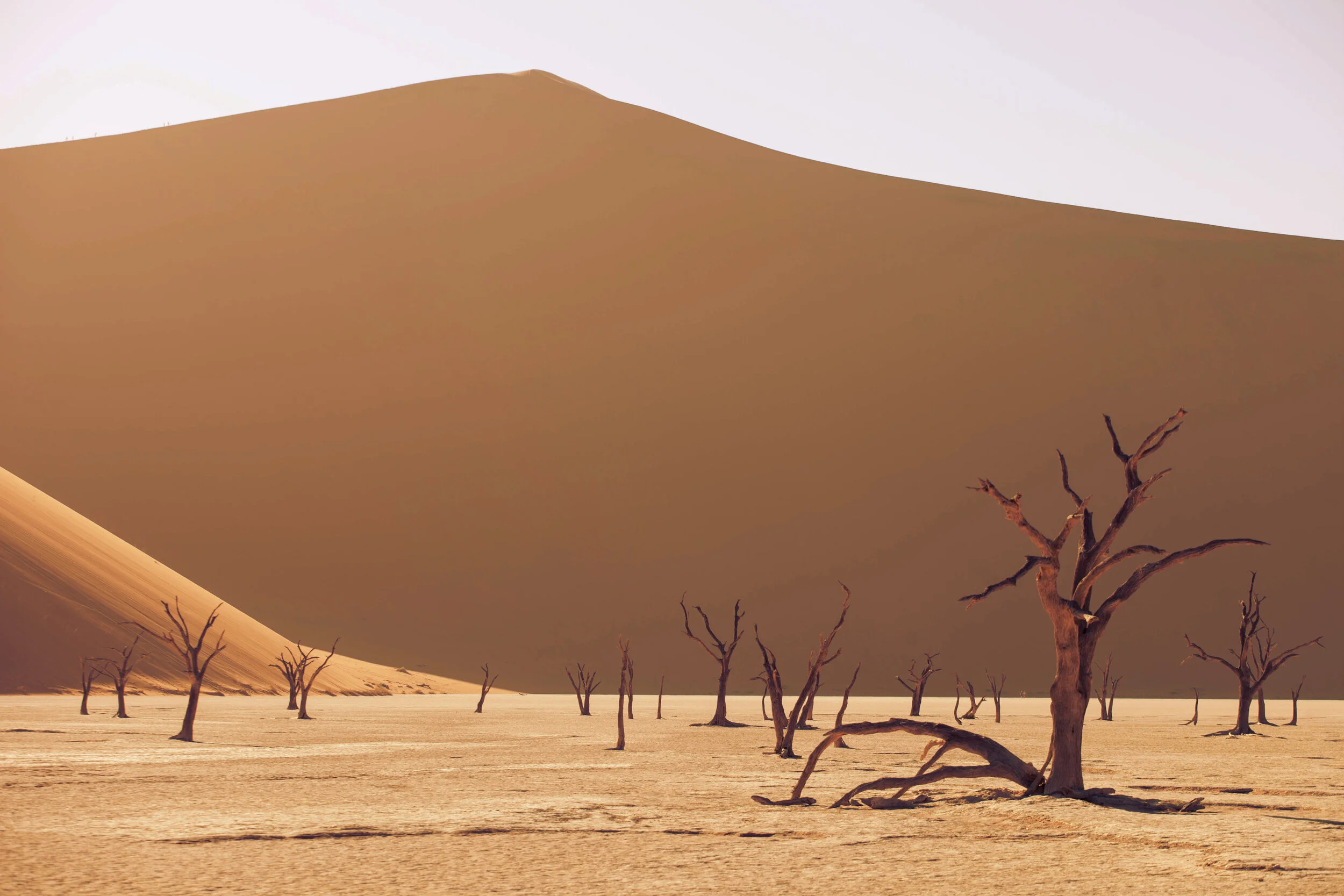 SOSSUSVLEI — NAMIBIA