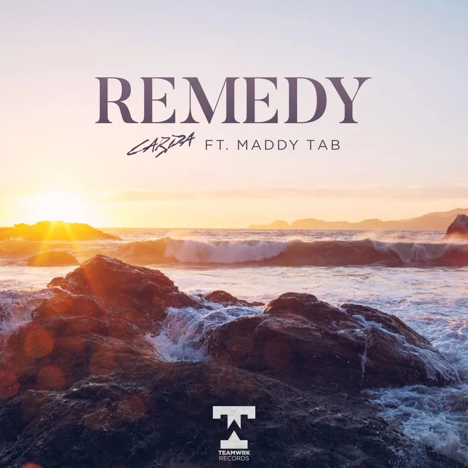 remedy_cover.jpg