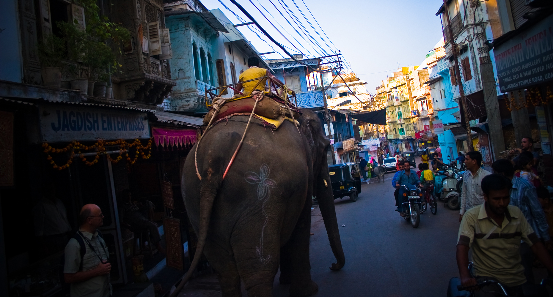 Elephant traffic... typical. Udaipur, India.
