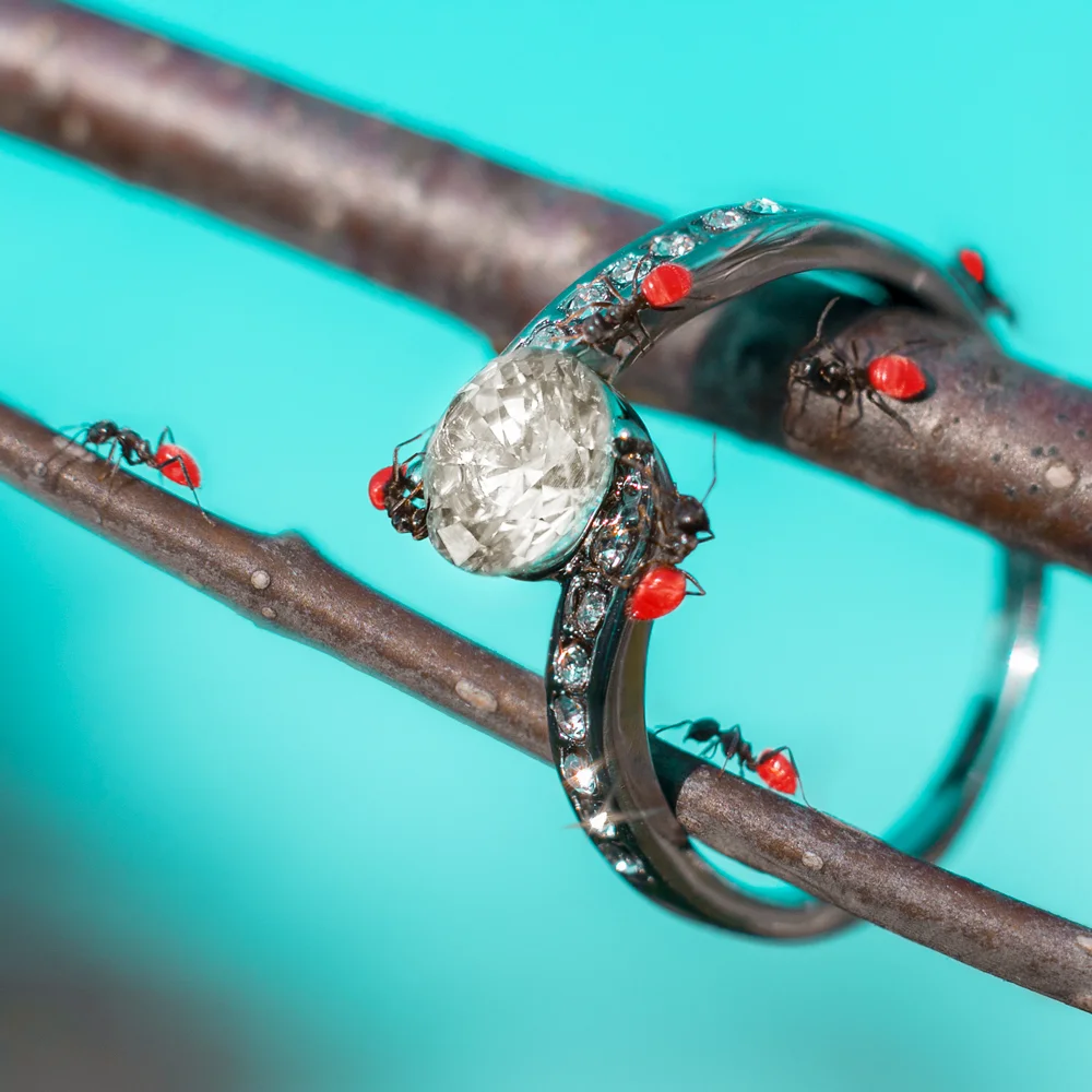 Diamond Jubilee - Day 2