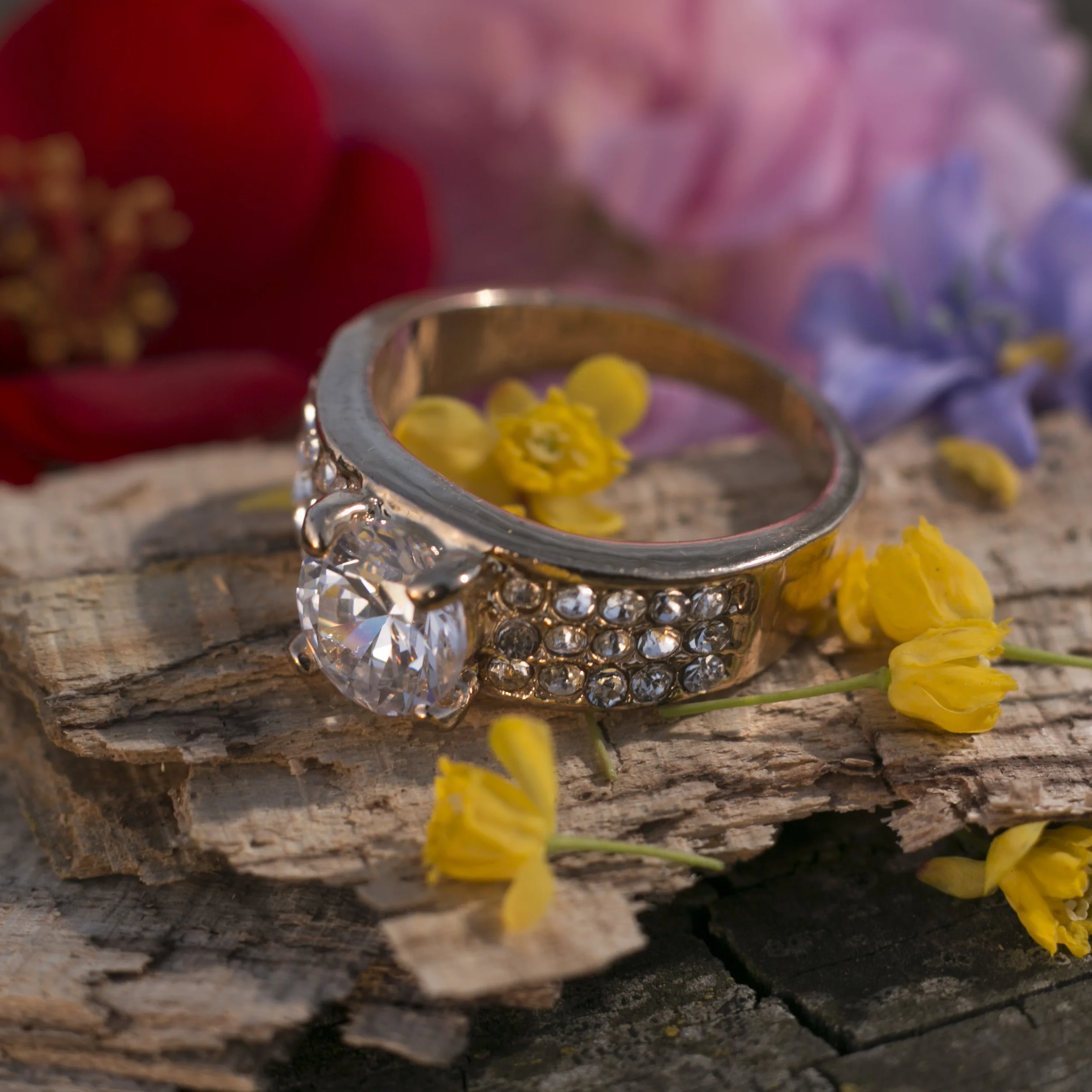 Golden Jubilee - Day 1