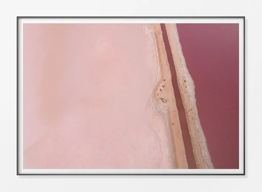 Framed Paper Print