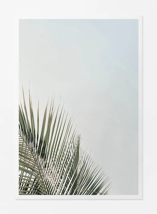 Paper Print
