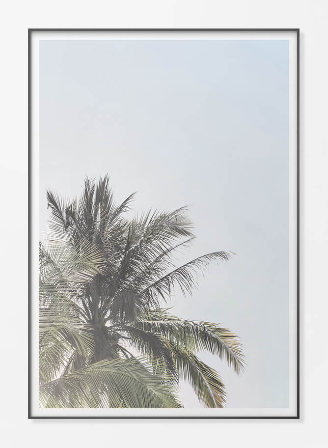 Framed Paper Print