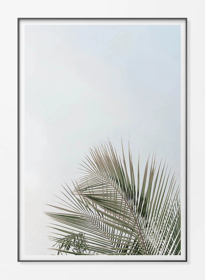 Framed Paper Print