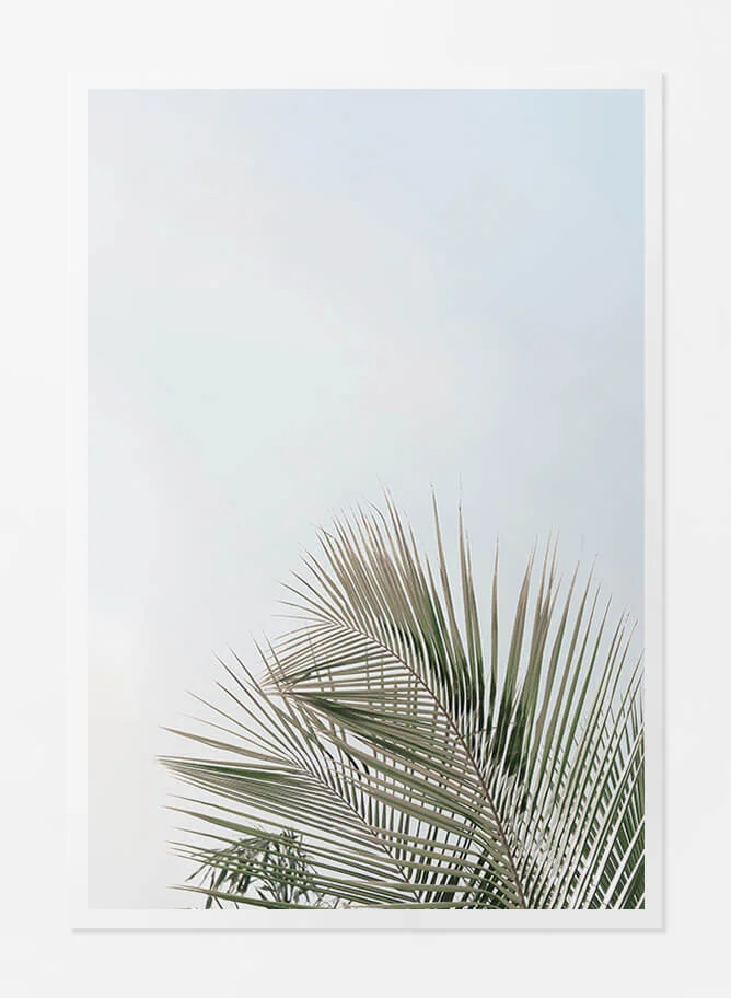 Paper Print