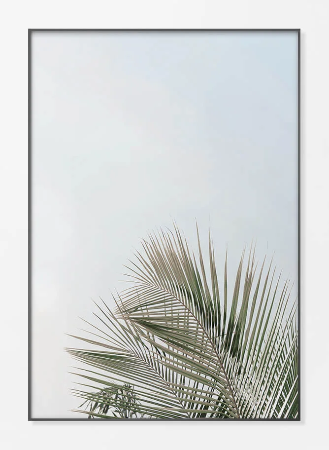 Framed Acrylic Print
