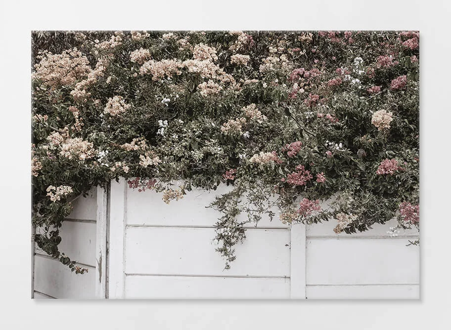 Frameless Acrylic Print