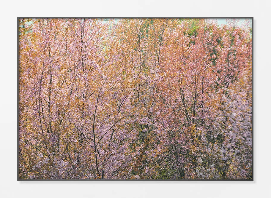 Framed Acrylic Print