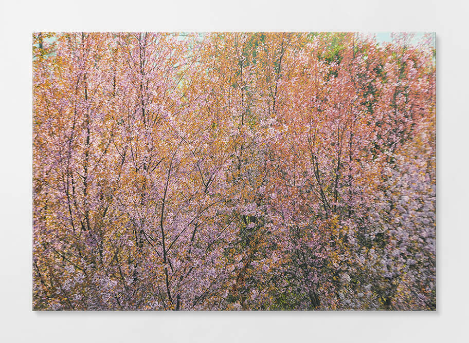 Frameless Acrylic Print