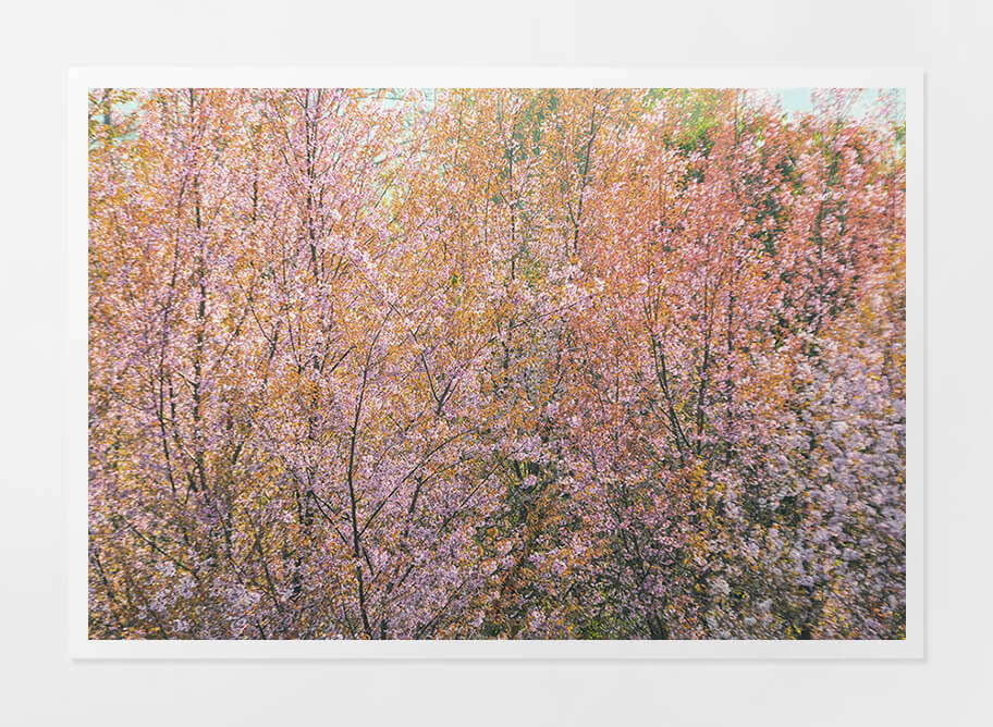Paper Print