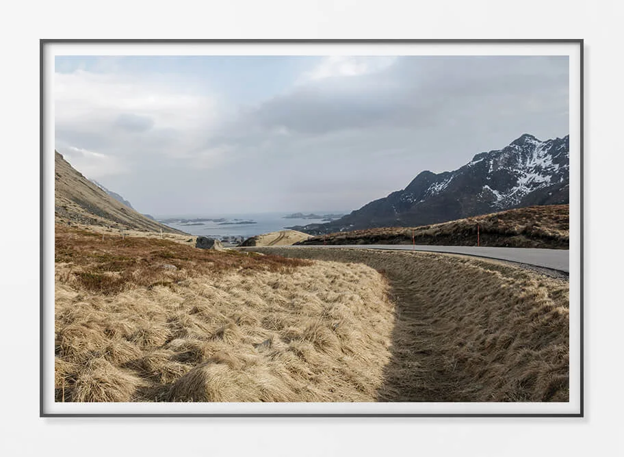 Framed Paper Print