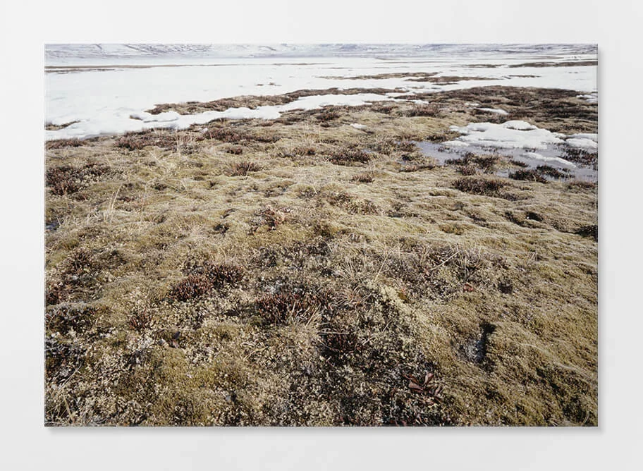 Frameless Acrylic Print