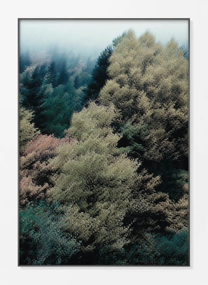 Framed Acrylic Print