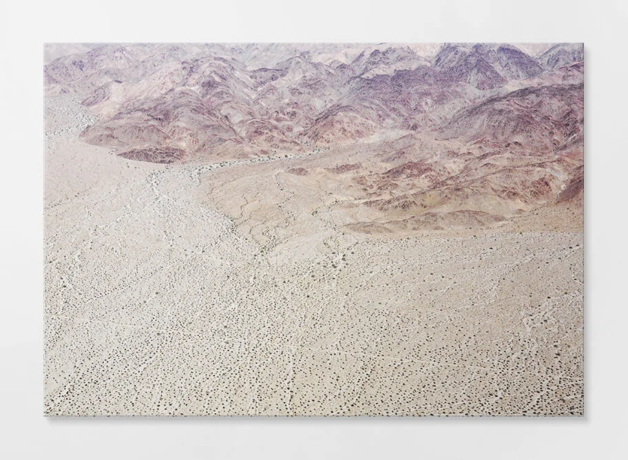 Frameless Acrylic Print