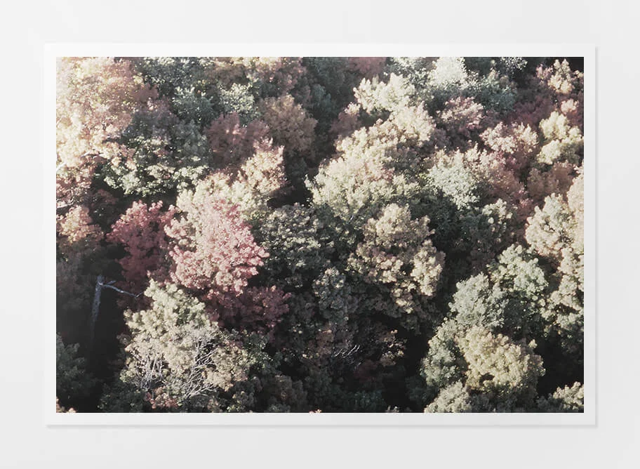 Paper Print