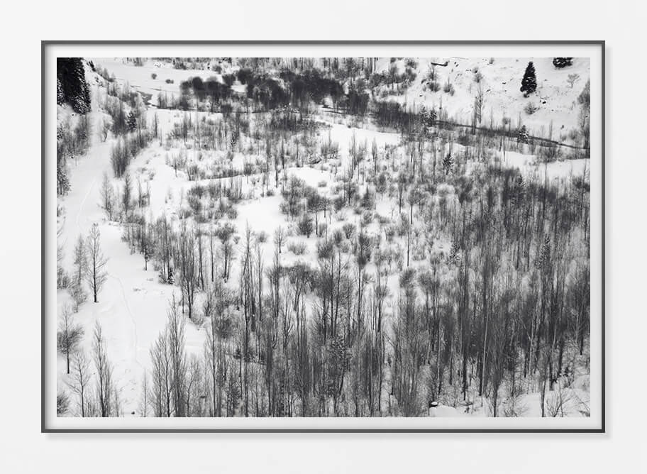 Framed Paper Print