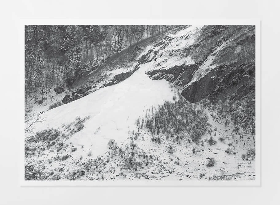 Paper Print