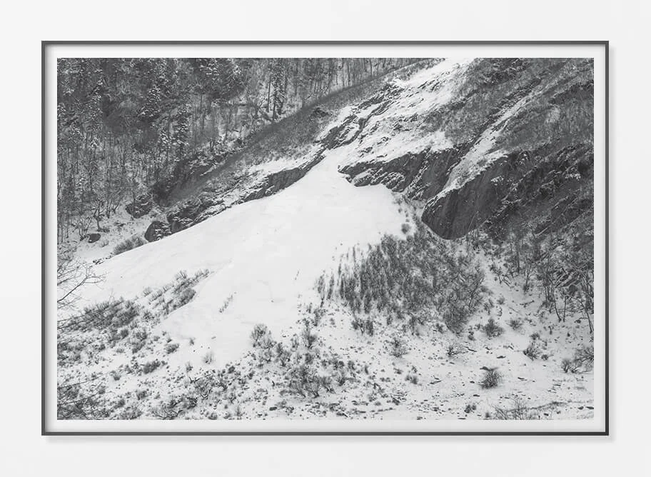 Framed Paper Print