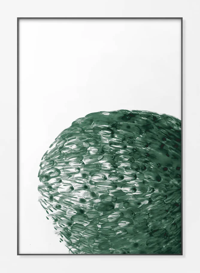 Framed Acrylic Print