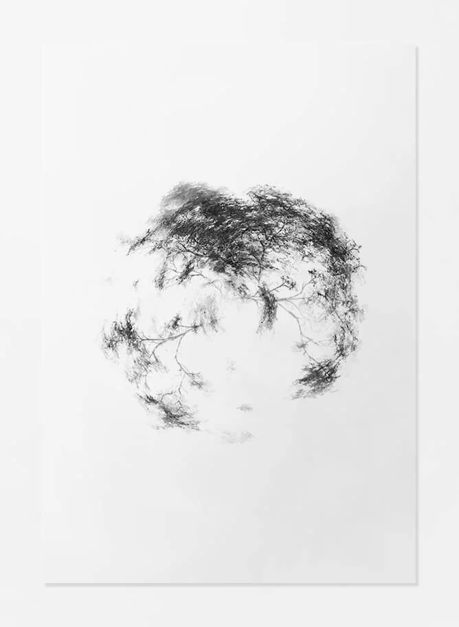 Paper Print