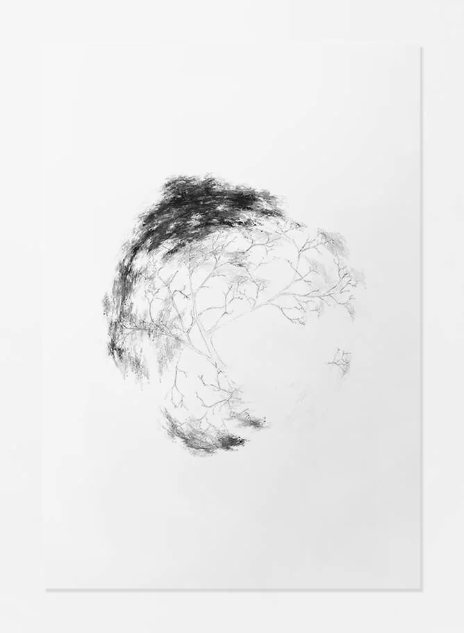 Paper Print