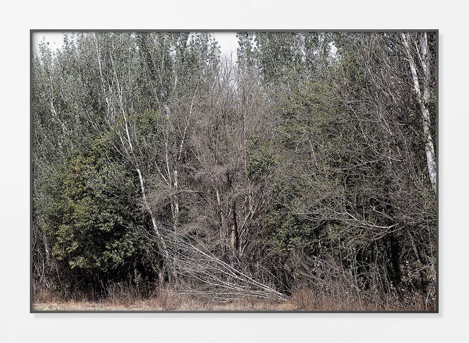 Framed Acrylic Print