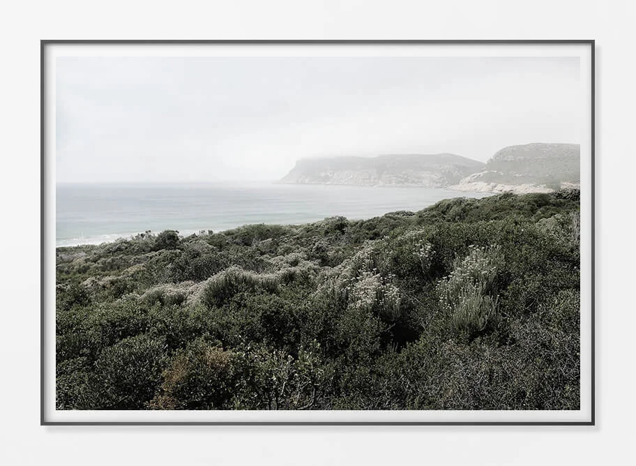 Framed Paper Print