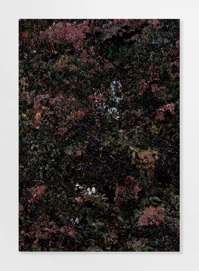 Paper Print