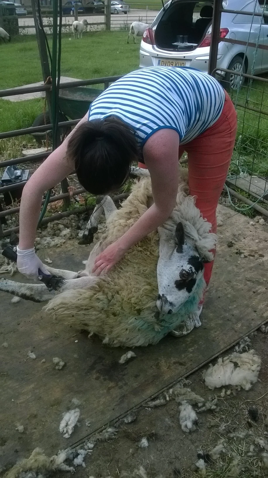 Shearing