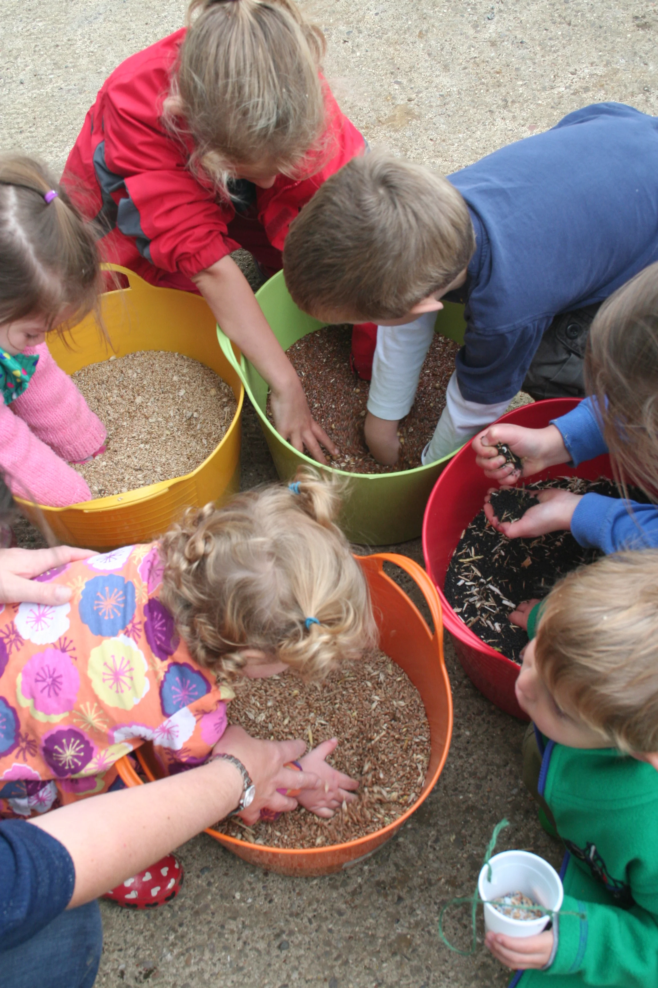 Launch Evening and Open Day