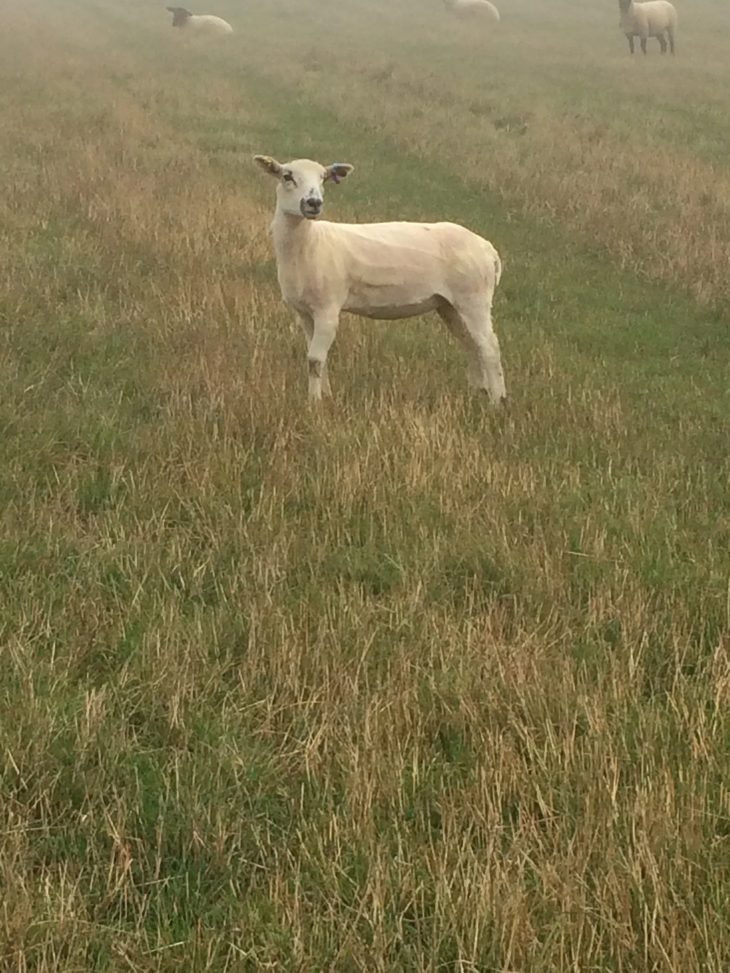 Just to keep you posted....by Rosie