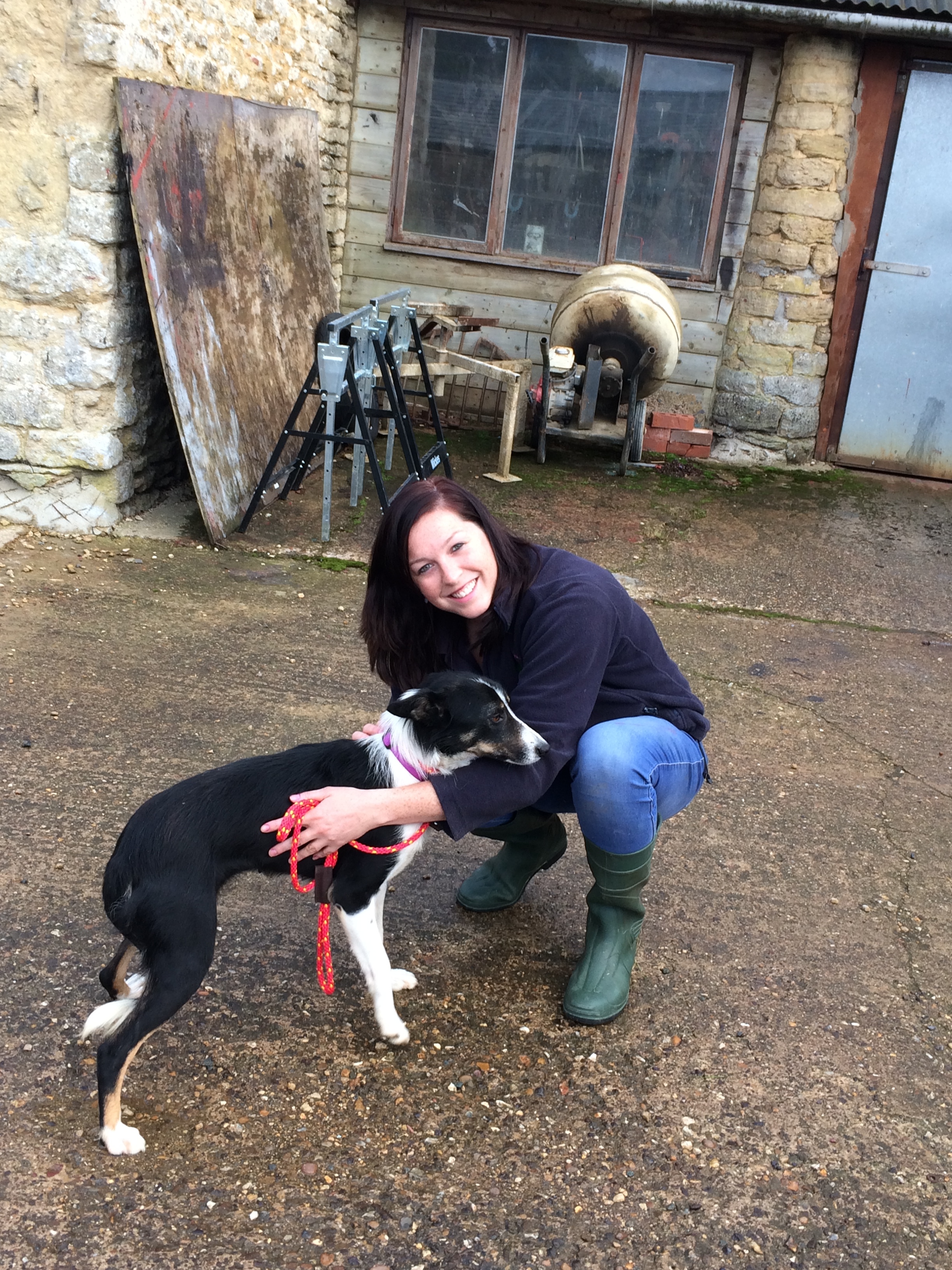 From a new dog to a birthday party and beyond!