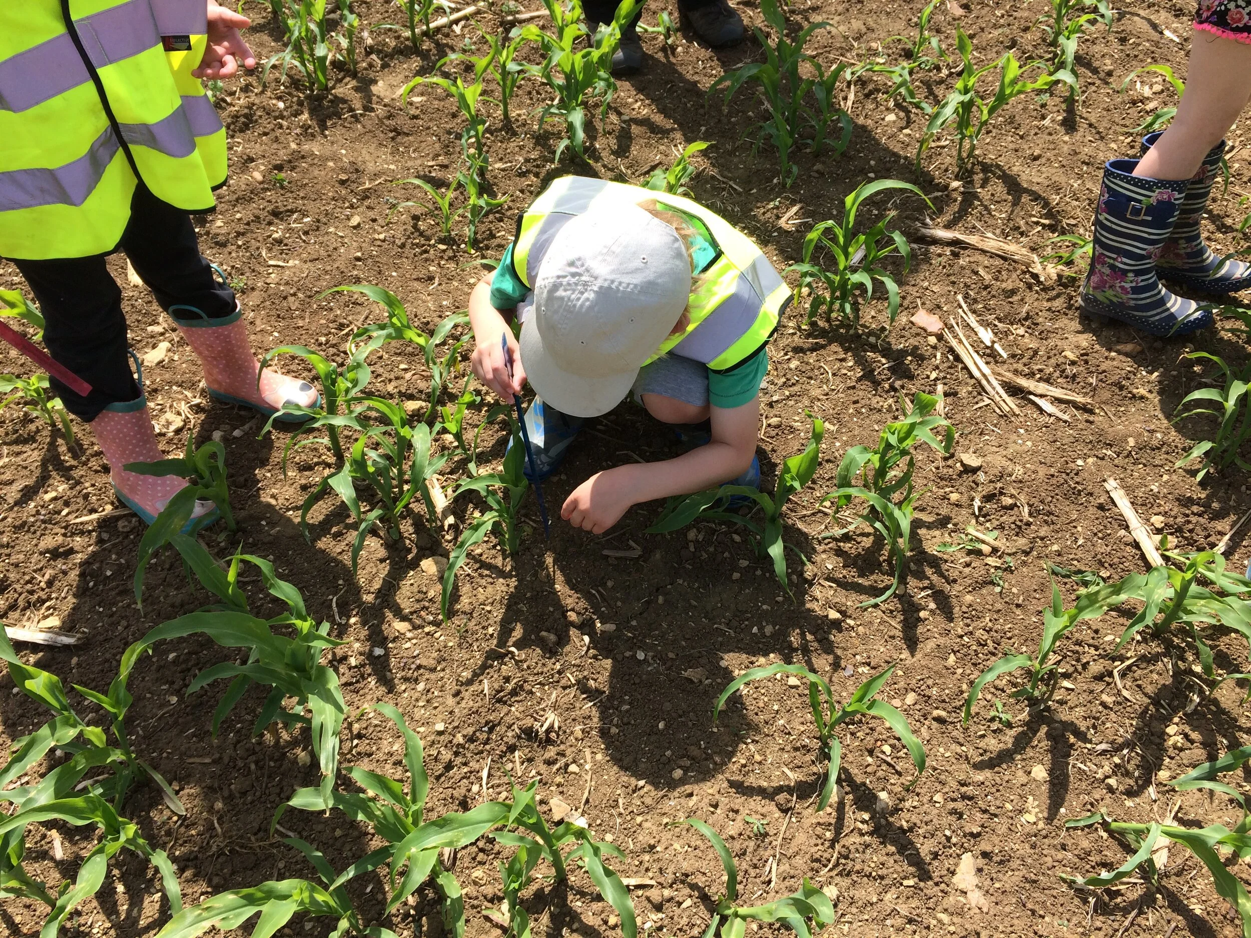 Farm Education Centre - Open Again!