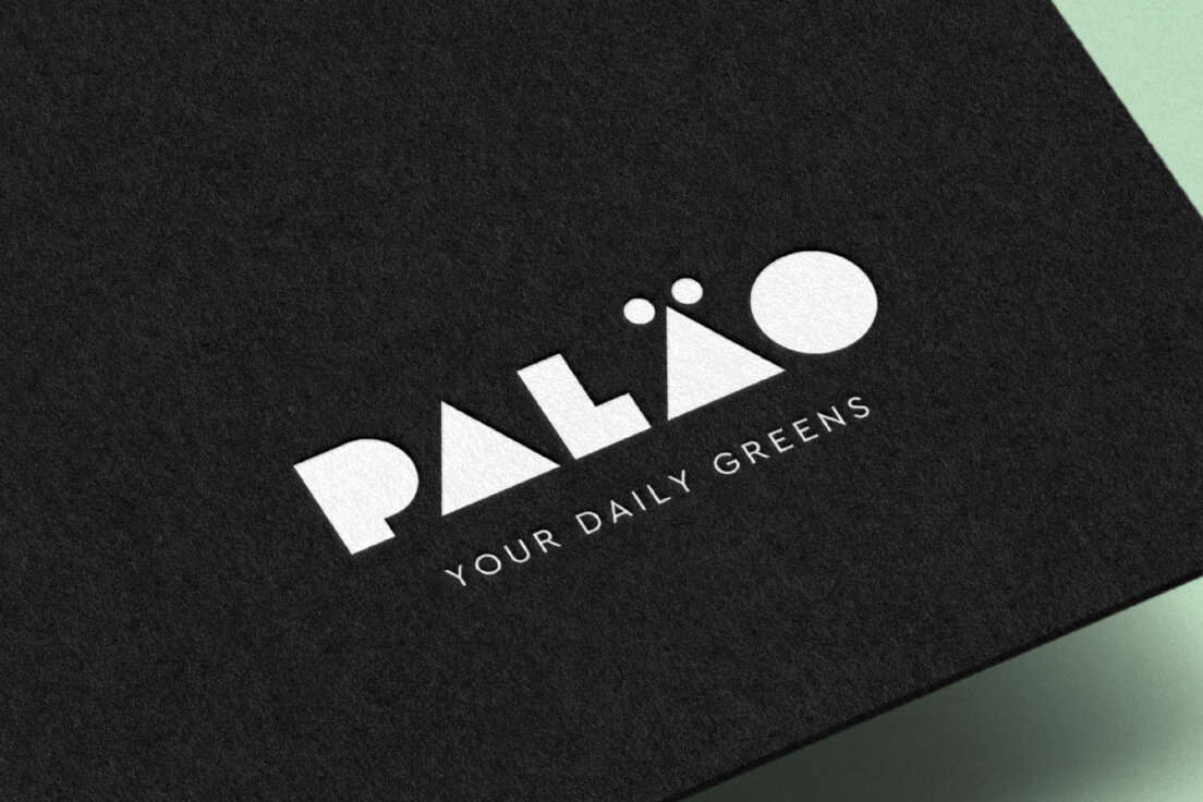Palao LinkedIn 5.jpg