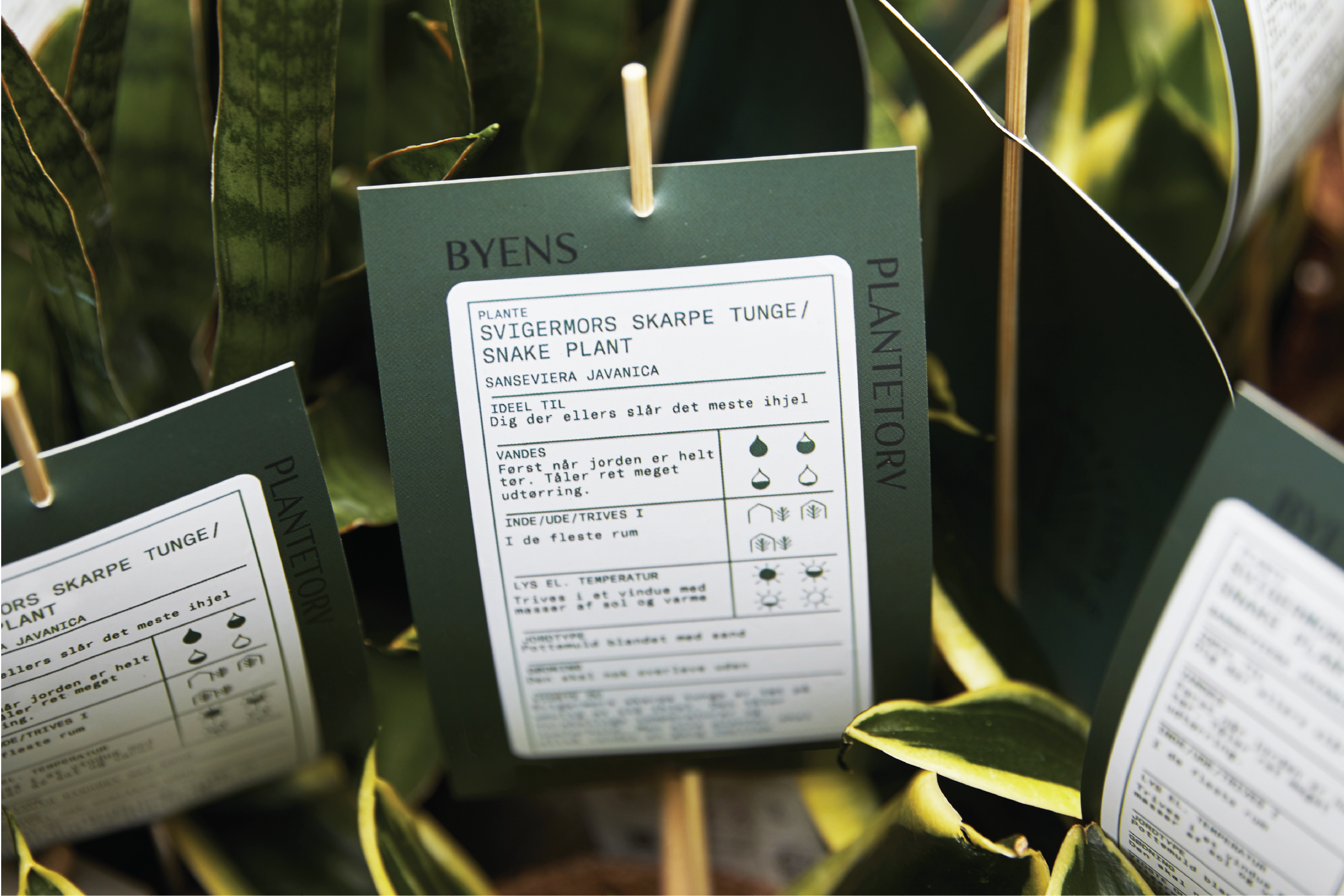 BP LinkedIn_v2-04.png