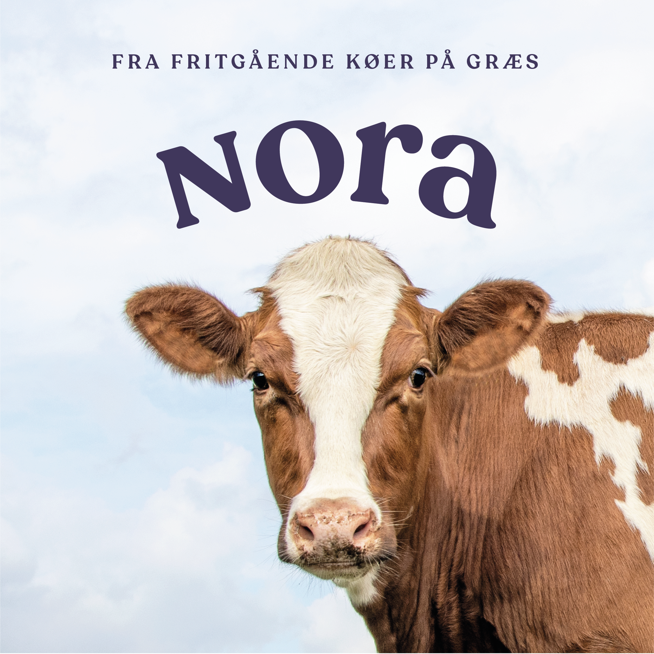 Nora insta.png