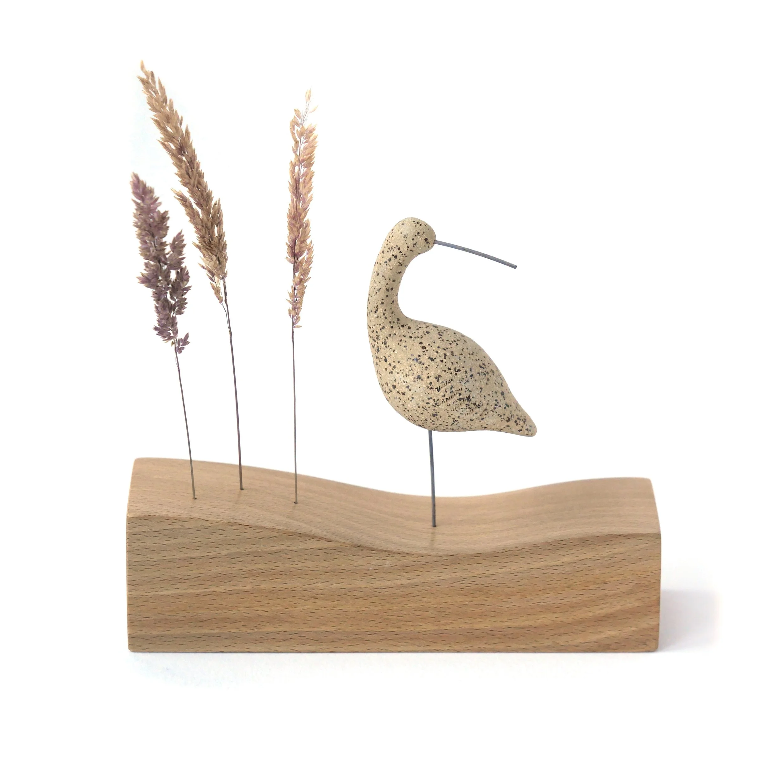 Curlew on Beech Base