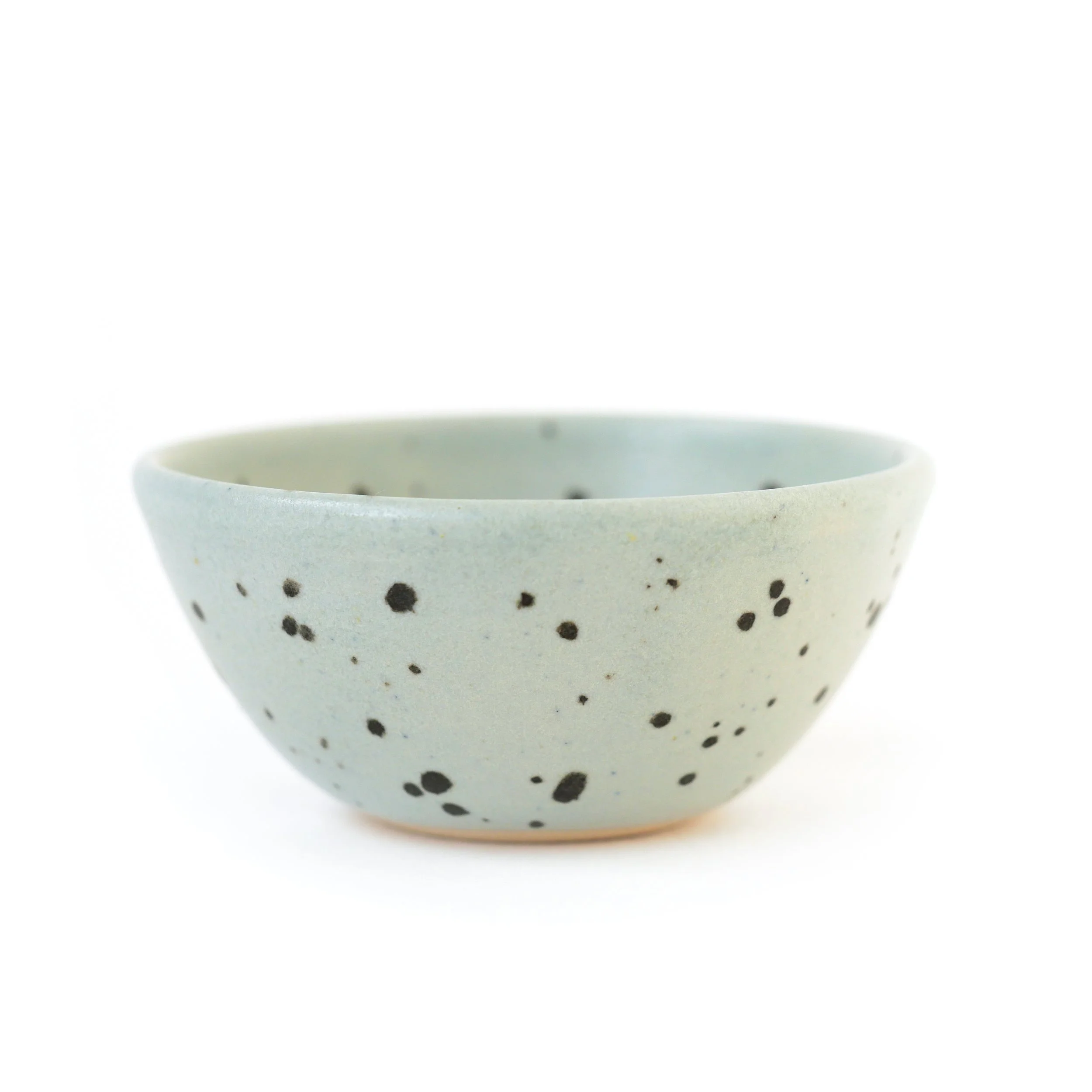 Song Thrush Bowl