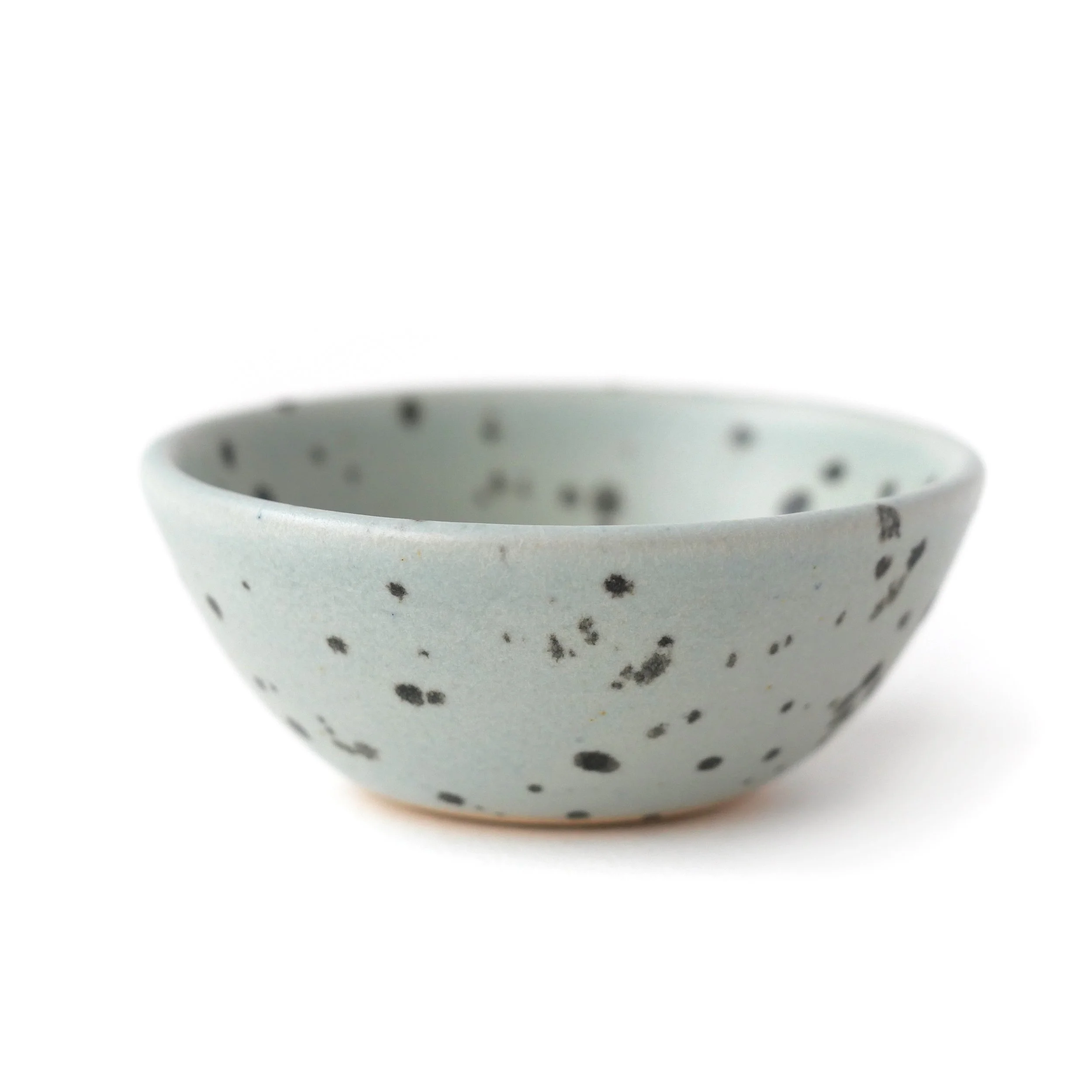Song Thrush Bowl