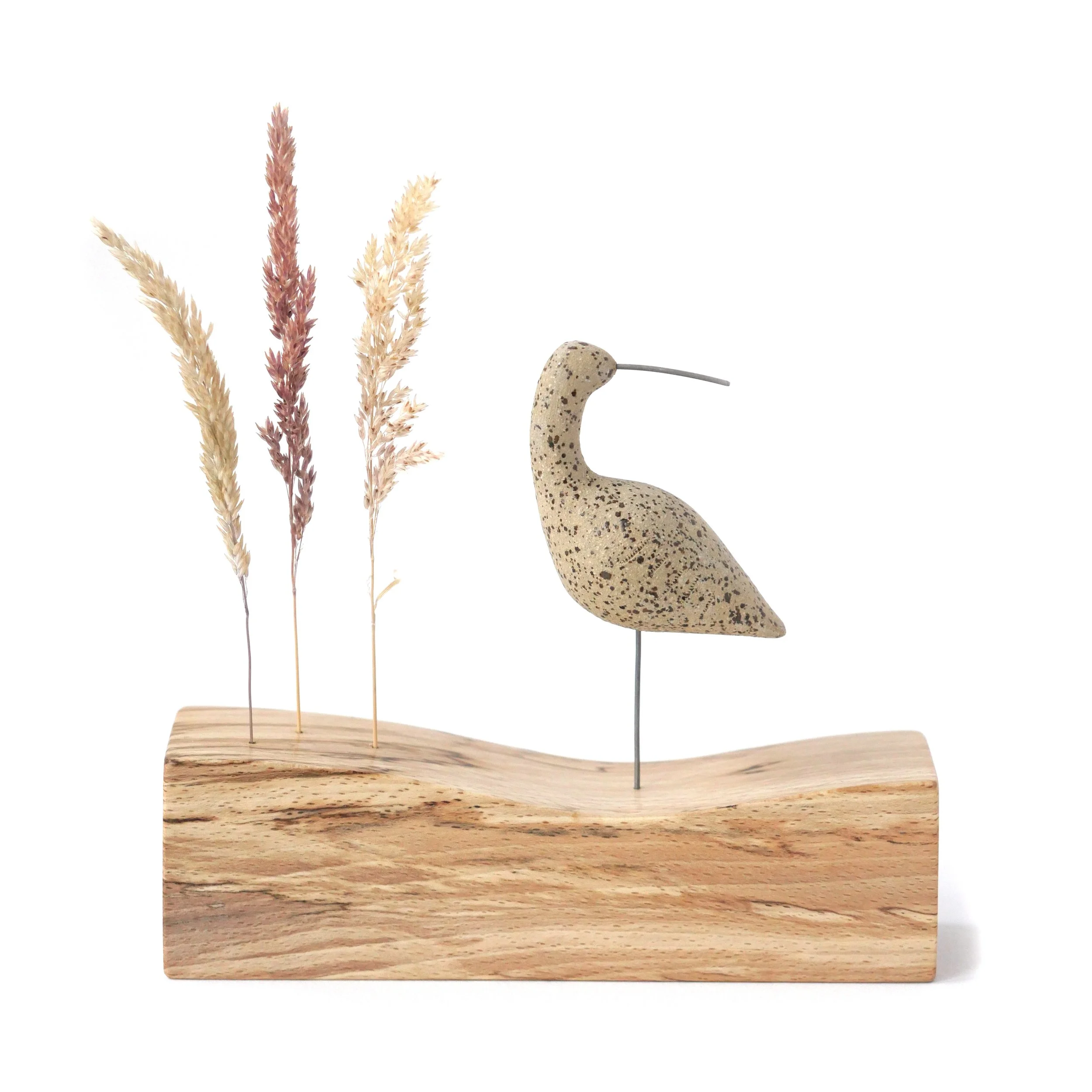 Curlew on Spalted Beech Base