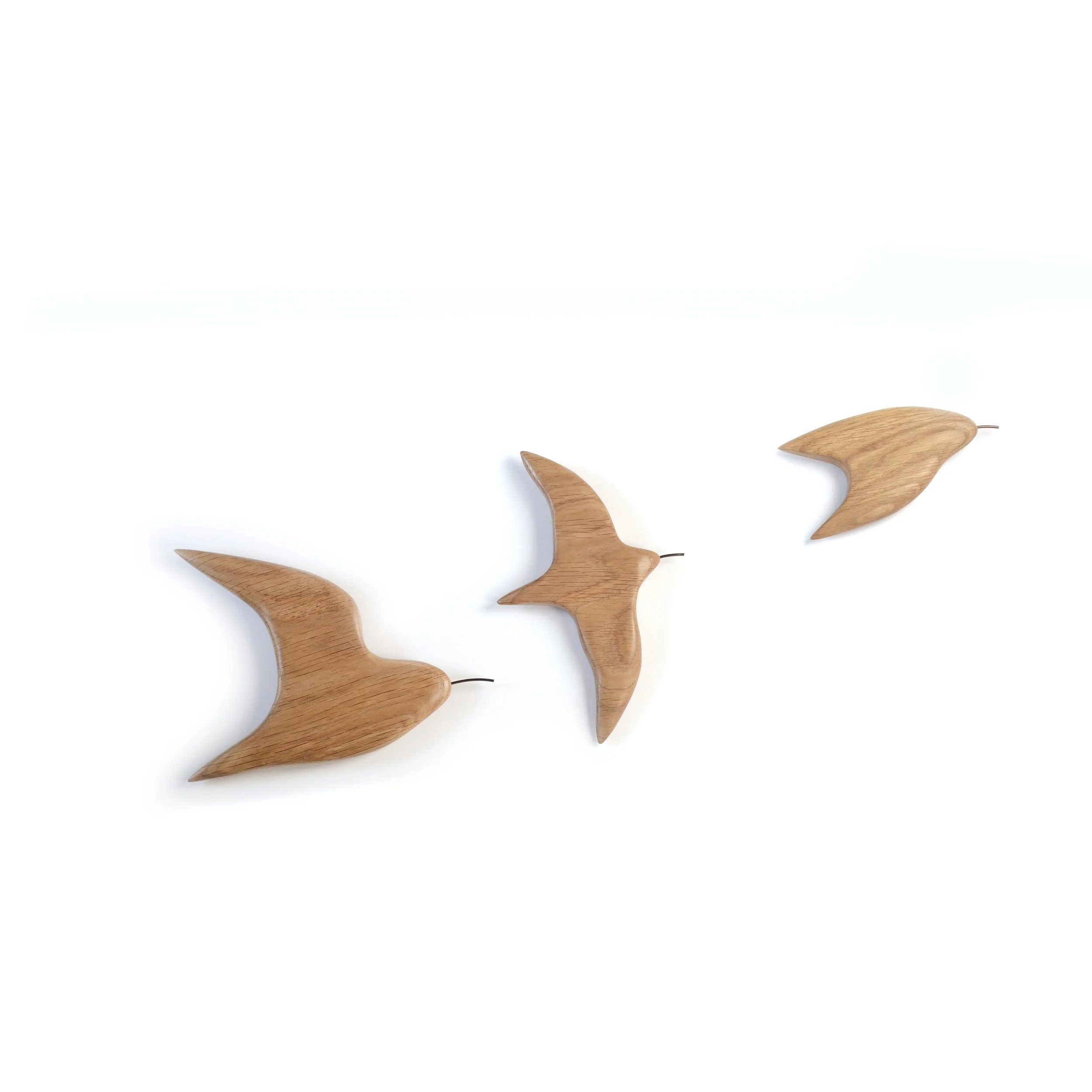P1134503.jpg