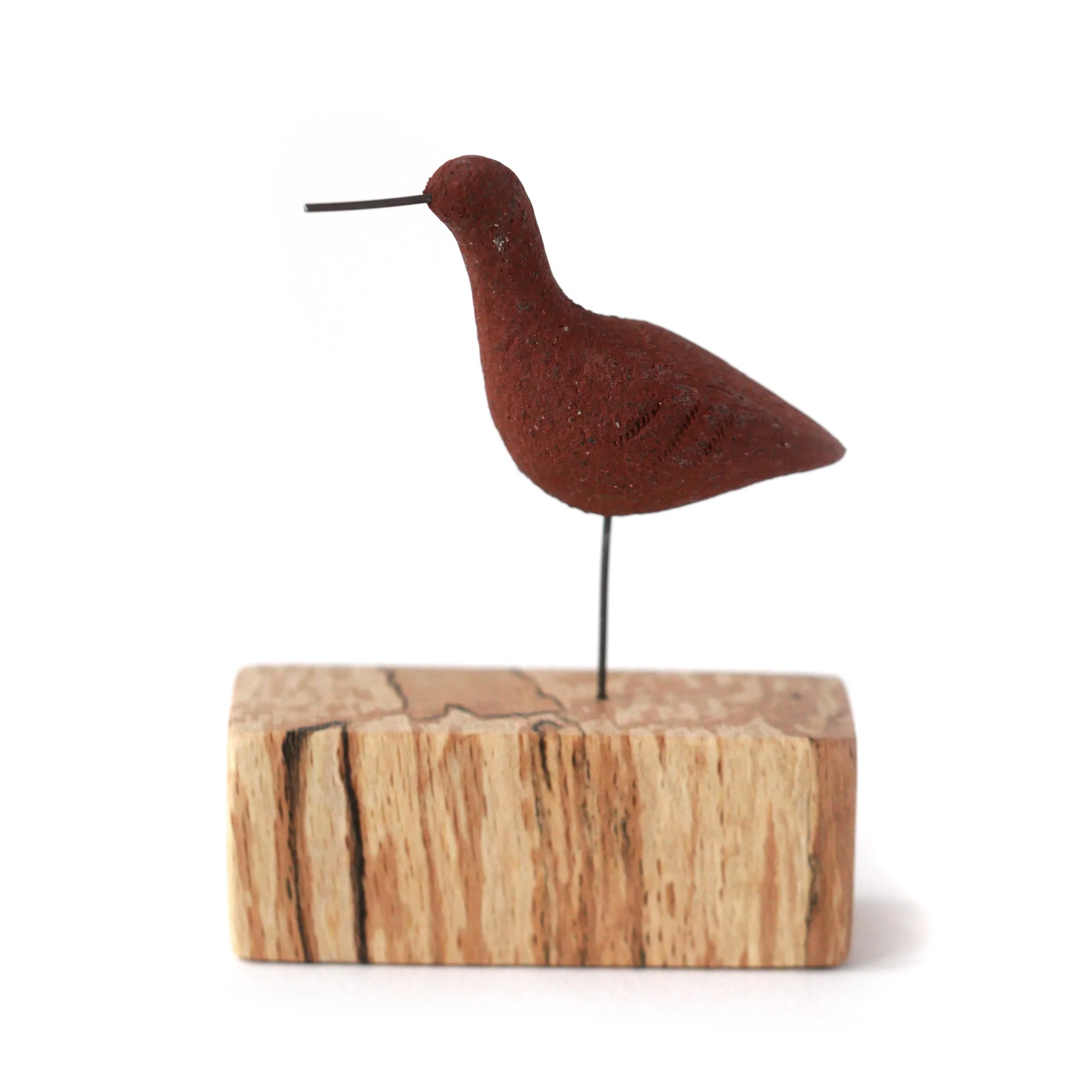 Bar Tailed Godwit on  Spalted Beech Base