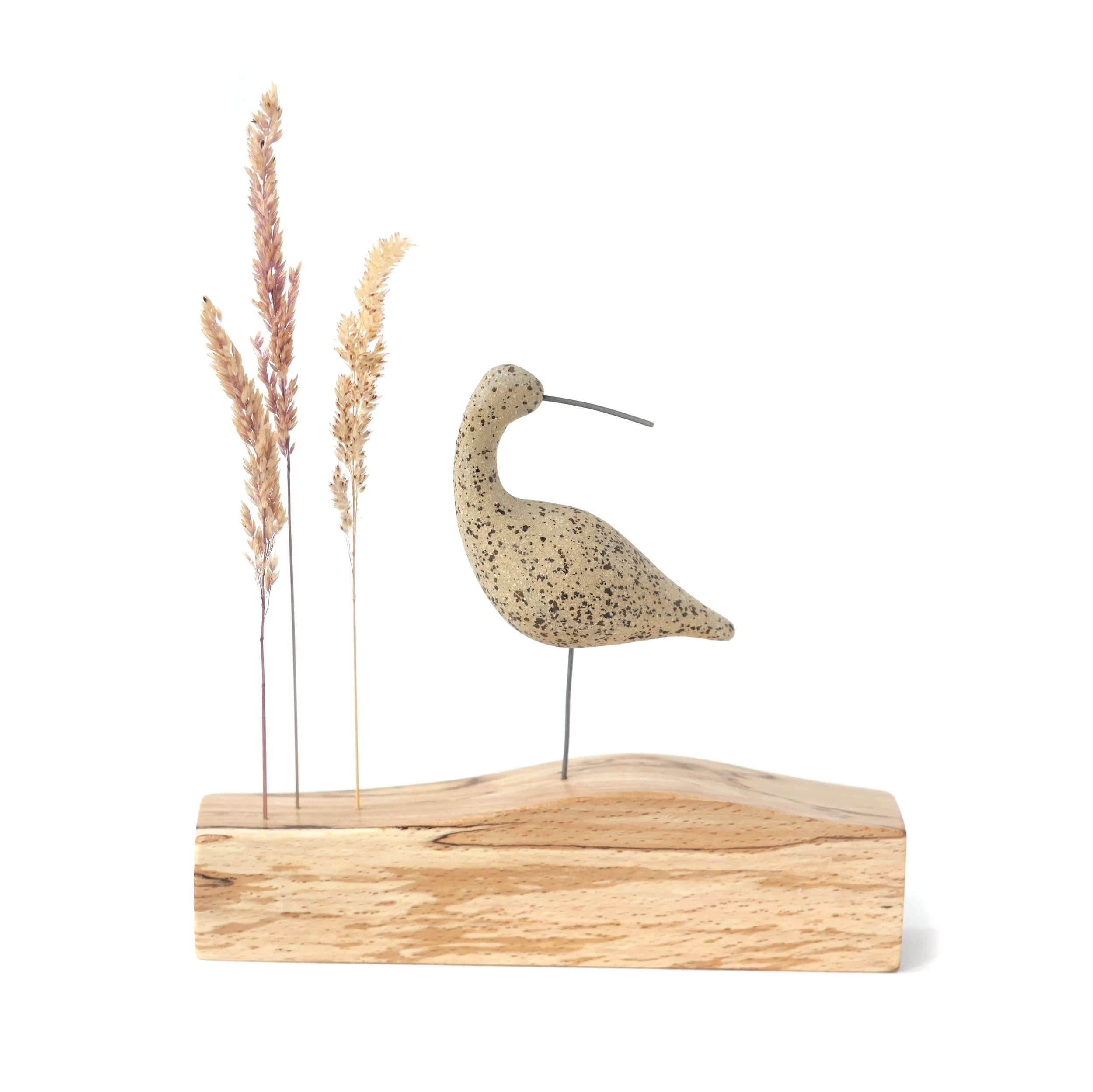 Curlew on Spalted Beech Base