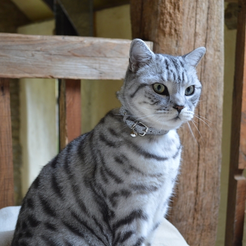 DSC_1553.jpeg