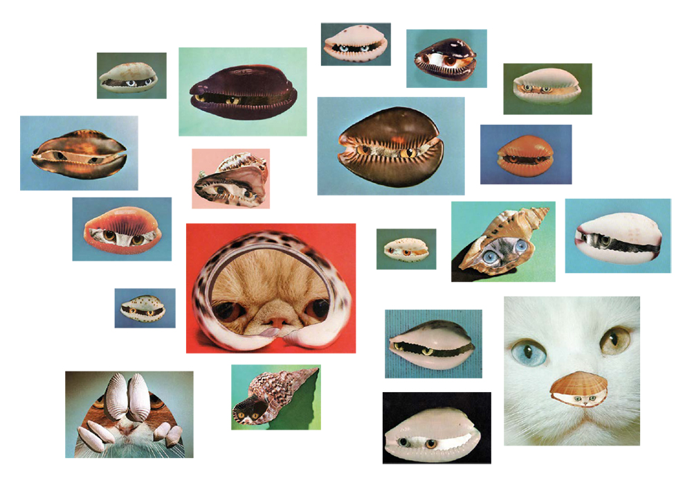 Pages-from-PUSSPUSS-Issue-3_V2-2-2.jpg